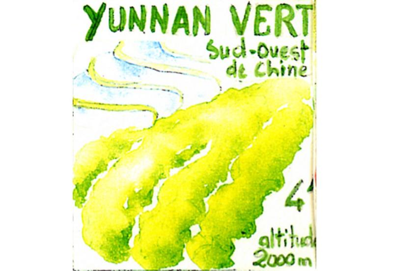 Thé vert de Chine Yunnan vert