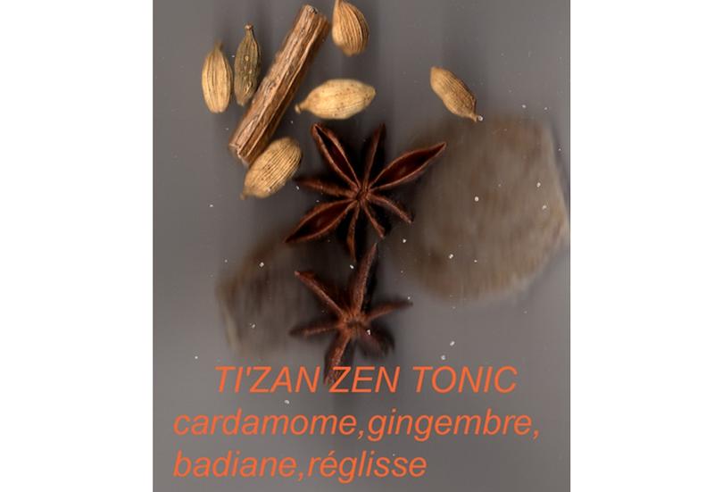 Infusion de plantes Ti-zan-zen tonic Sachet 100 grammes