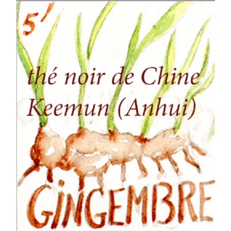 Thé noir parfumé Gingembre