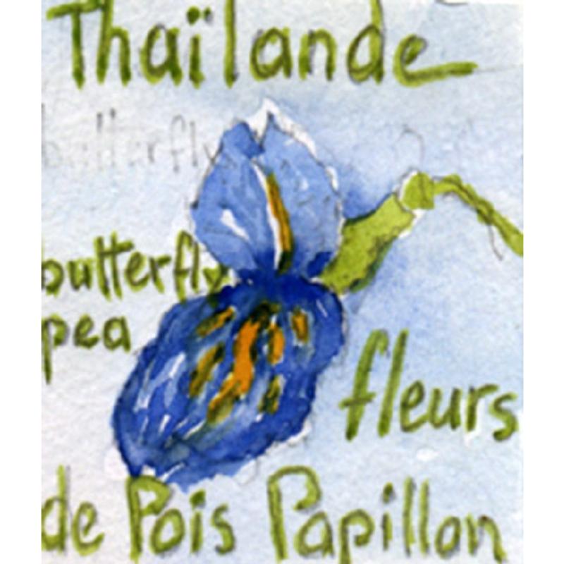 Fleurs de pois Papillon