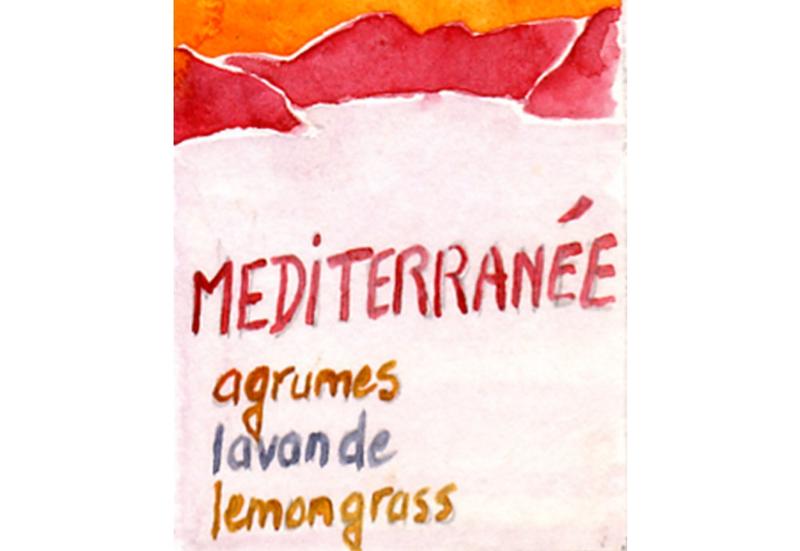 Infusion fruits Méditerranée