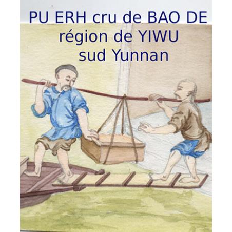 Pu Erh cru Bao De