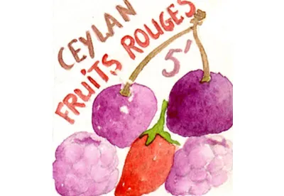 Retrouvez le parfum de votre enfance avec ce mélange suave et gourmand composé uniquement de fruits rouges. Un trait d'union entre petits et grands.