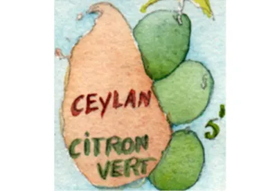 La rondeur du thé de Ceylan supporte très bien les accents pointus du citron ou du citron vert pour en faire une boisson tonique, étanchant bien la soif.