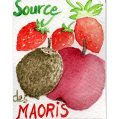 L'infusion de fruits La source des Maoris est une infusion gourmande aux notes fruitées et acidulées de fraise et de kiwi. Sa couleur rouge intense mêlée aux notes fruitées lui apporte davantage d’exotisme et d’évasion.