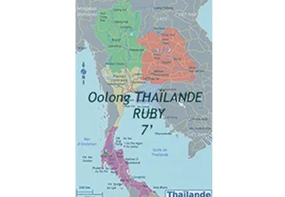 Le thé Ruby Oolong allie la finesse et la versatilité des Oolongs à la générosité des thés noirs. Goût sucré, arômes de fruits cuits et rondeur font un très grand thé.