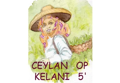 Le thé noir de Ceylan OP Extra Kelani est un grand cru d'exception, situé dans une zone tropicale non loin de Ratnapura. Vaste plantation aux théiers issus de plants d'Assam. Feuilles fines et vrillées. Un thé rond, au goût chocolaté.