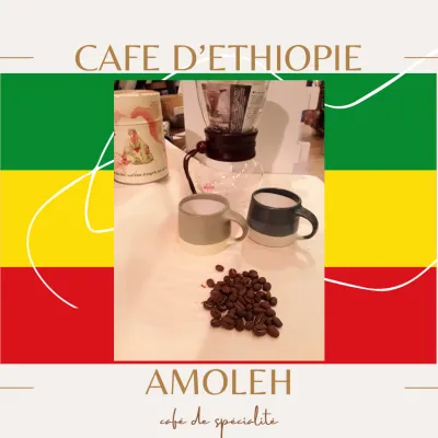 Le café de spécialité Éthiopie Moka Amoleh est recolté dans la région de Jimma.Le producteur s'engage à promouvoir la production de cafés certifiés biologiques.   Café de spécialité, note : 80/100