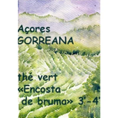 Le thé vert des Açores Encosta da Bruma est un thé récolté dans les brumes, ce qui lui assure des arômes raffinés et uniques pour une tasse douce et élégante. .