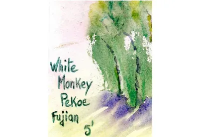 Le thé blanc de Chine White Monkey Pekoe est un thé d'exception cultivé sur les versants des montagnes Taimu dans la province chinoise du Fujian. Ce thé offre un bouquet à la grande richesse aromatique.