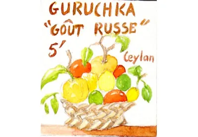 Sa tasse fraiche, vive et éclatante fait du thé noir parfumé Guruchka (goût russe) un grand classique apprécié le matin et l'après midi.