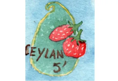 Dans le thé noir parfumé fraise, la fraise  s'invite seule auprès de ce Ceylan, le rendant suave. A boire en famille.