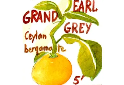 Le thé noir parfumé Grand Earl Grey est un thé à la bergamote (agrume"citrus bergamia") qui  tonifie dès le réveil.