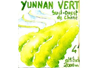 Le thé vert Yunnan vert est un grand cru qui enthousiasme pour ses belles feuilles soyeuses vert-olive, duveteuses et son infusion voluptueuse, aux notes fleuries au palais et terroir en arrière-goût.