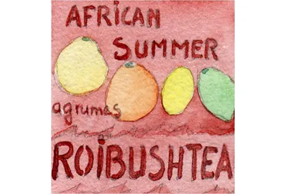 Laissez-vous séduire par le Rooïbos agrumes African Summer, une infusion ensoleillée qui éveille les sens avec une farandole d'agrumes. Ce mélange unique de rooïbos et d'agrumes est parfait pour ceux qui cherchent une boisson rafraîchissante et sans