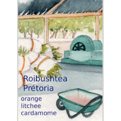 Le rooïbos Pretoria est un rooïbos agrémenté d"orange, rose, litchi et cardamome pour une fraîcheur sucrée. Un premier voyage sur la route des épices douces et voluptueuses.