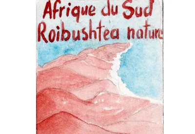 Le Rooibos nature, sous sa forme fermentée l'infusion est effectivement très rouge. C'est la boisson nationale de l'Afrique du Sud.