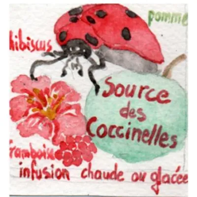 L'infusion de fruits  La source des Coccinelles est une infusion aux saveurs d'enfance.