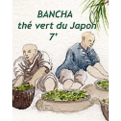 Thé vert du Japon Bancha