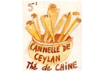 La cannelle au parfum le plus subtil est récoltée à Ceylan. Sa saveur aromatique, chaude et légèrement sucrée, accompagne un thé de Chine très doux.