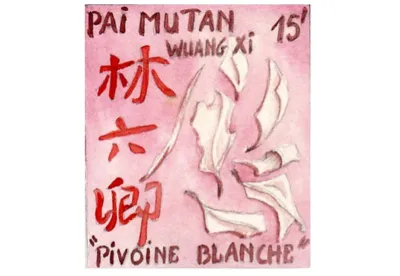 Le surnom "Pivoine Blanche" correspond bien au thé blanc de Chine  Pai Mu Tan dont les feuilles non roulées, à l'aspect fripé, sont recouvertes d'un important duvet qui rappelle une fleur.