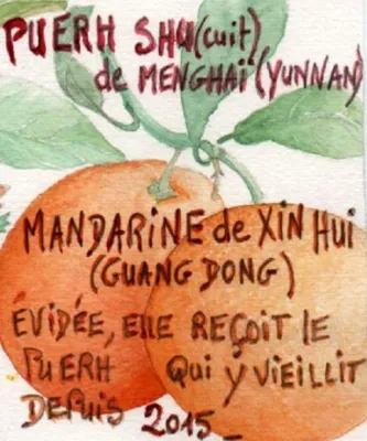 Thé Pu Erh de Menghaï mandarine vieilli depuis 2015 dans une mandarine évidée. Un thé rond et profond aux notes boisées sublimées par la fraîcheur naturelle de l’agrume. À déguster seul puis avec quelques éclats de coque… savoureux.