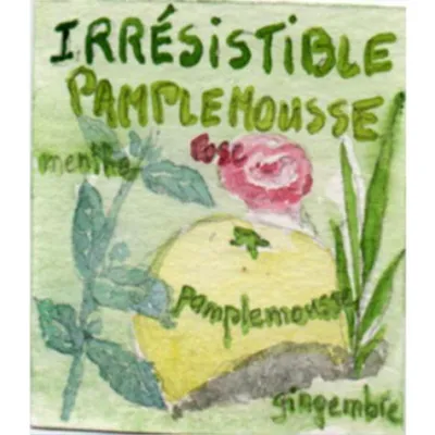 Le thé vert Irrésistible Pamplemousse est un thé vert sublimé par un pamplemousse tonique, gingembre, menthe et une pointe de rose.