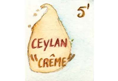 Ce Ceylan bien charpenté est arrondi par l'ajout d'arôme de crème de lait devenant ainsi très onctueux pour le matin ou l'après-midi.