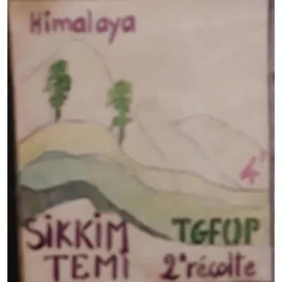 Le thé noir Sikkim Temi est un thé de dégustation facile apprécié à tout moment.
