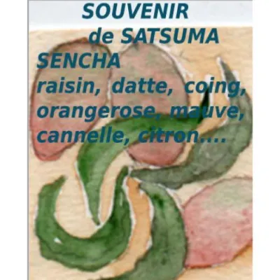 Souvenir de Satsuma: sur un thé vert japonais Sencha sont mêlés raisin, datte, coing, noix de coco, orange, rose, papaye, canneberge, passiflore, mauve, cannelle, citron et goji.