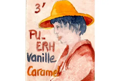 Les notes de vanille et de caramel se marient harmonieusement à ce Pu Erh aux vertus diététiques exceptionnelles.