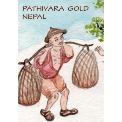 Le thé noir du Népal Pathivara Gold est un thé noir bio cultivé dans les jardins de Pathivara, perdus à 2000 mètres d’altitude au beau milieu de l’Himalaya.  