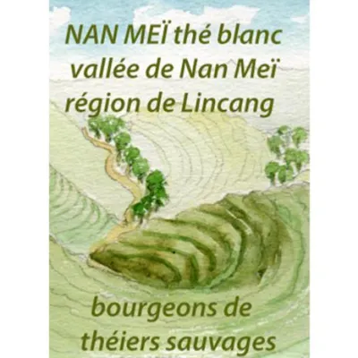 Le thé Nanmei Yesheng Bai Ya ou "bourgeons blancs" de théiers sauvages, est produit à partir de véritables arbres sauvages des hauteurs de cette petite vallée (2400-3000m) en pleine forêt.