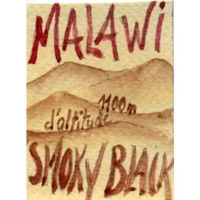 Thé noir fumé aux feuilles de goyaviers, le thé Smoky Black Malawi nous vient des hauts plateaux du Malawi, à plus de 1100 mètres d’altitude