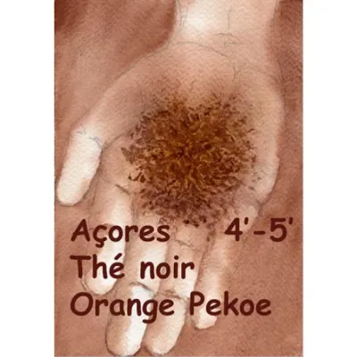 Le thé noir des Açores Orange Pekoe est produit à partir du bourgeon terminal de la 1ère feuille. Sa liqueur est de couleur cuivre avec un arôme fruité idéal pour l'après-midi.
