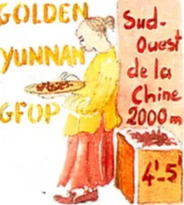 Le thé noir de Chine Golden Yunnan est un merveilleux thé du matin, très hydratant, il réveille sans énerver. La liqueur est colorée, sans amertume, douce et longue en bouche. Seul thé de Chine à supporter un nuage de lait.