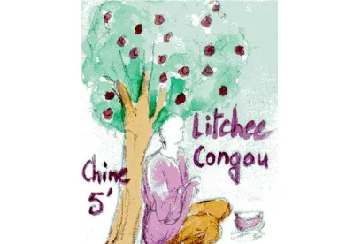 Au nez, le thé noir parfumé au Litchi, est très délicatement parfumée. A la tasse le thé Congou conserve son velouté et sa luminosité est relevée par l'accent tonique du litchi.