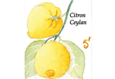 Le thé noir parfumé citron Ceylan, le thé classique de nos amis les anglais pour se rafraichir et s'apaiser lors du tea time.
