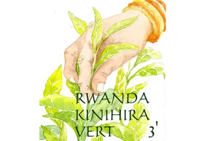 Le thé vert d'Afrique Rwanda Kinhihira vert est constitué de feuilles de thé entières au parfum fruité et qui offrent une infusion végétale, à la rémanence chaleureuse.