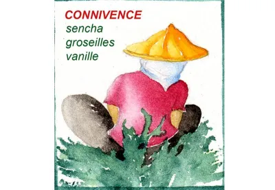 Le Thé vert parfumé vanille groseille Connivence est un sencha parsemé de groseilles qui exhale le parfum des fruits rouges, auréolé d'une pointe de vanille.