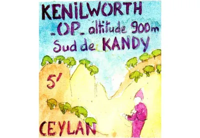 Thé noir de Ceylan Kenilworth