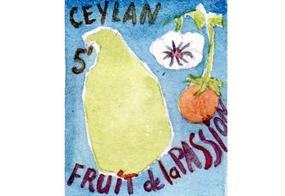 Très aromatique fruit de la passion sur un Ceylan très rond, une boisson idéale pour les journées de détente sereine.