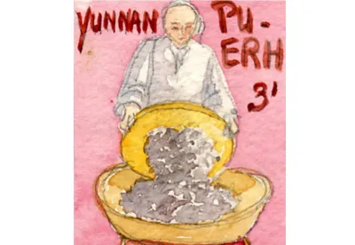 Thé Puerh nature du Yunnan, fermenté sous toile humide. Infusion rouge brun au goût doux et terreux, réputé pour ses vertus digestives et circulatoires.