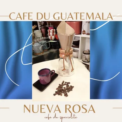 Le café de spécialité Guatemala Nueva Rosa est produit par plusieurs petits producteurs qui bordent le Dry Mill de Santa Rosa, dans la région du Nuevo Oriente. Cette région est pluvieuse, ex-volcanique, possède des sols riches en minéraux qui permettent