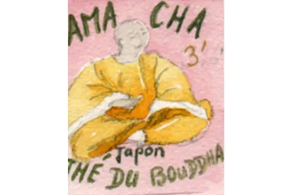 L'hortensia du Japon Ama Cha est aussi appelée Thé du Bouddha. Plante dont le parfum, le goût et l'arrière-goût sont très différents; on y trouve un parfum de mousse, un goût sucré et boisé, et l'arrière-goût persistant fait songer à la réglisse.
