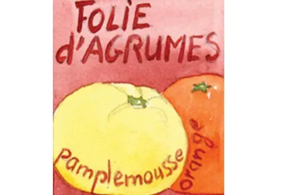 Dans l'infusion de fruits "Folies d'Agrumes", des agrumes, pamplemousse, orange , éveillent la boisson.