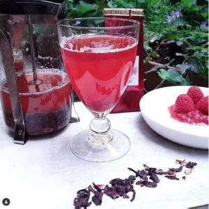 cocktail-rooibos-fruits-rouges-hibiscus